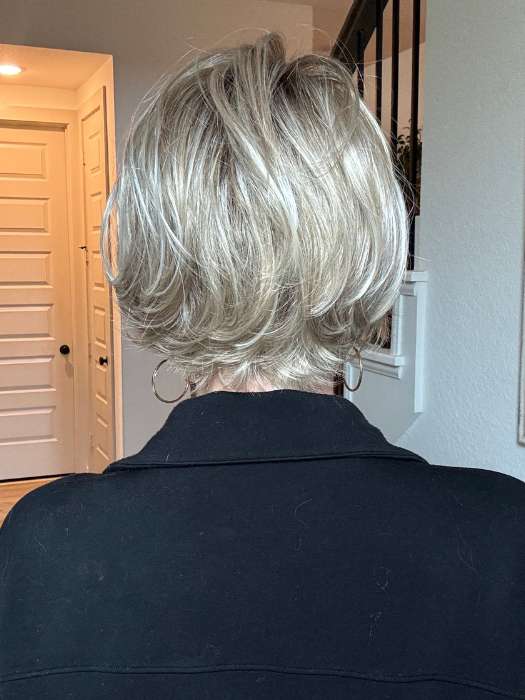 Ellen Wille Like | Synthetic Lace Front Wig