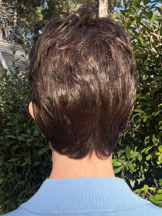 Ellen Wille Estate | Synthetic Lace Front Wig