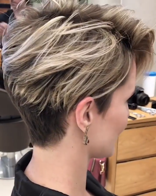 Synthetic Lace Front Wig (Mono Crown)