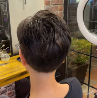 Tomboy | Synthetic Lace Front Wig (Mono Crown)