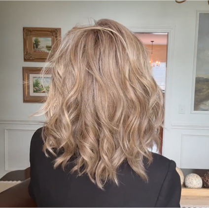 Raquel Welch  Simmer | HF Synthetic Lace Front Wig