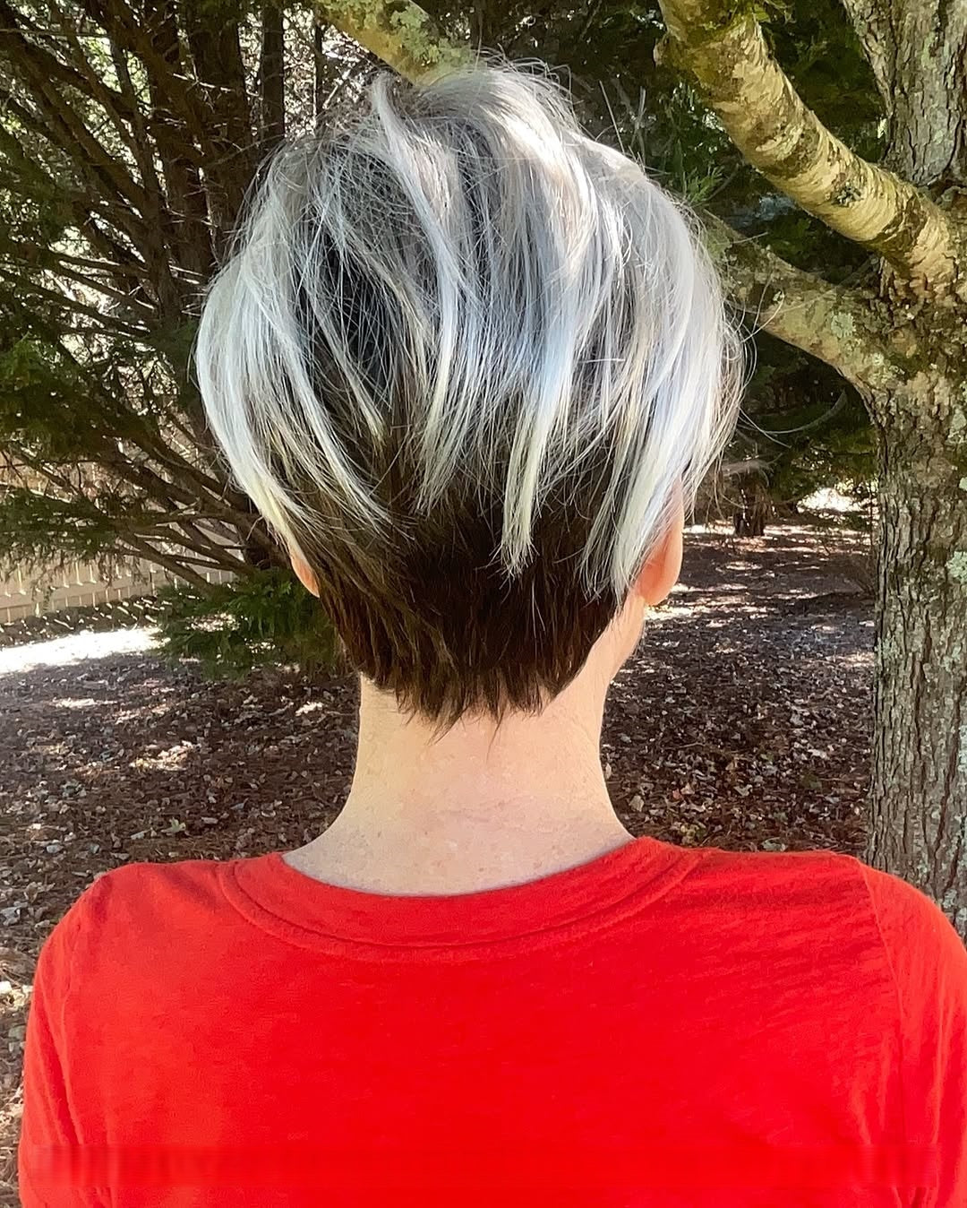 Perry | Synthetic Lace Front Wig